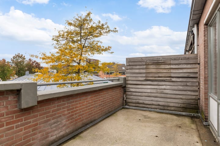 Photo 18 of Dreiumme 6