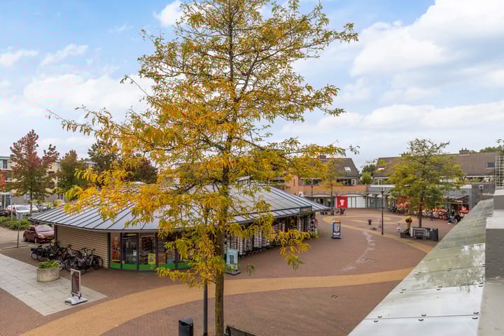 Photo 20 of Dreiumme 6