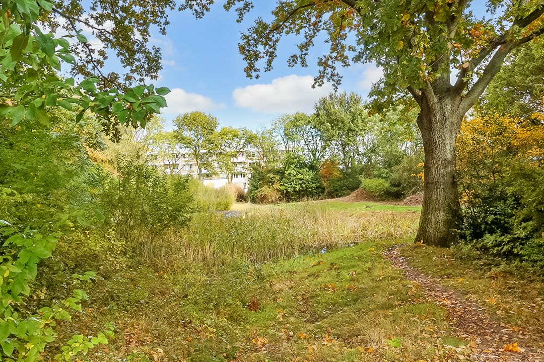 Foto 37 van Liendertseweg 81-G