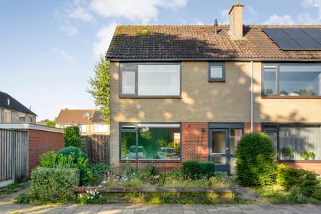 undefined main image