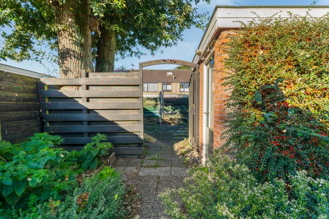 Foto 31 van Zonnelaan 41