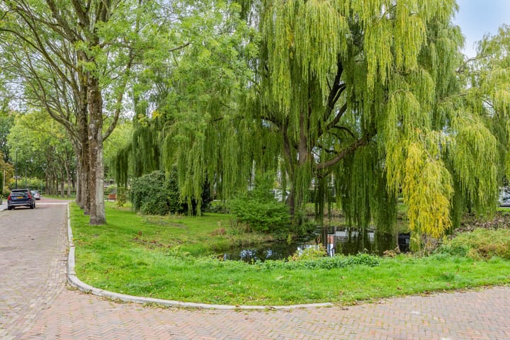 Foto 5 van Het Lage Noord 5