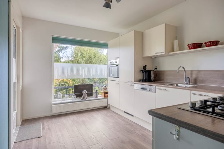 Foto 19 van Het Lage Noord 5