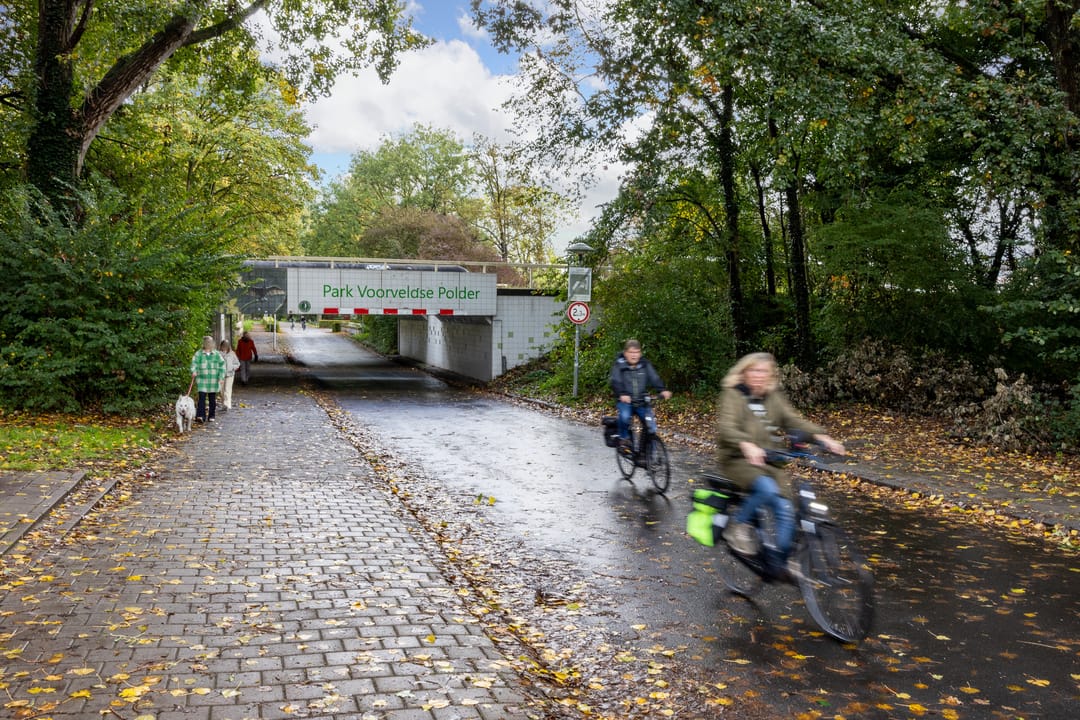 Foto 22 van Karel Doormanlaan 224