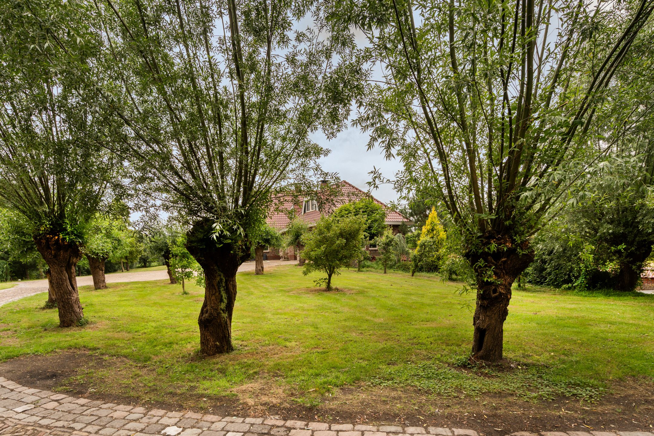 Foto 63 van Eenendertigste Wijk-Zuid 22