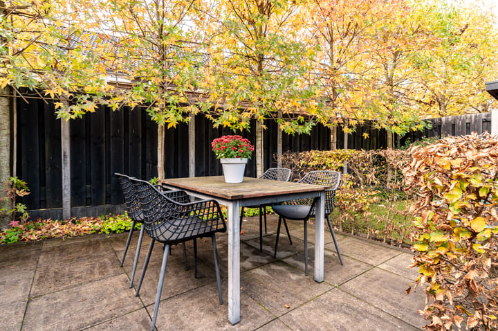 Photo 41 of Dassenburcht 3