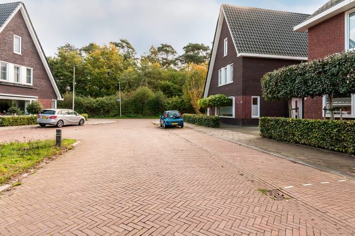 Photo 47 of Dassenburcht 3