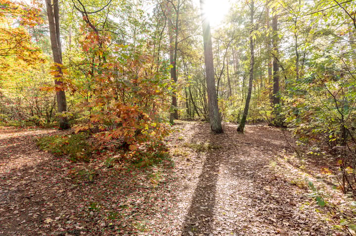 Photo 48 of Dassenburcht 3