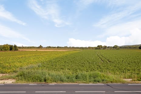 Groenstraat 2-A secondary image