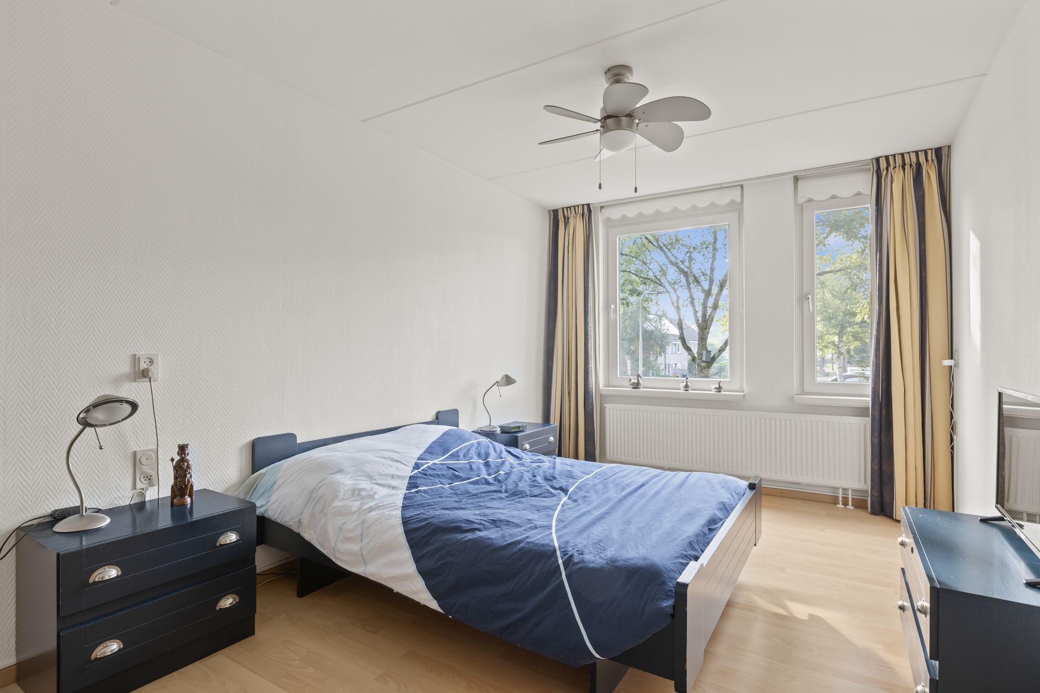 Foto 3 van Valeriaan 14