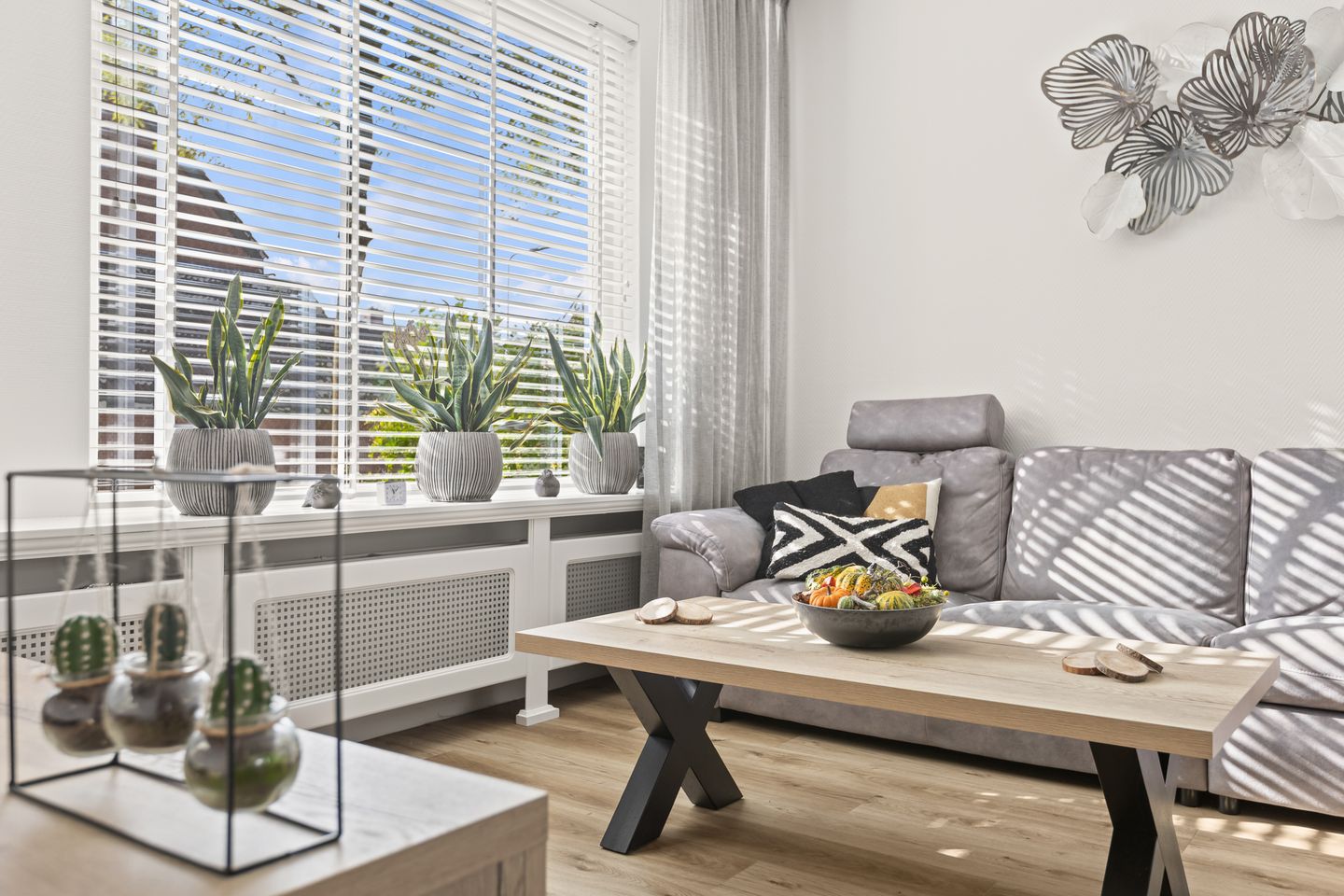 Foto 10 van Valeriaan 14