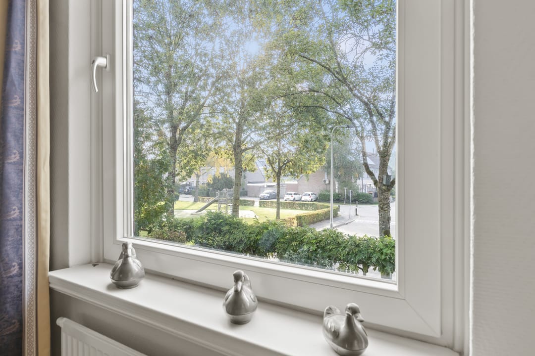 Foto 32 van Valeriaan 14