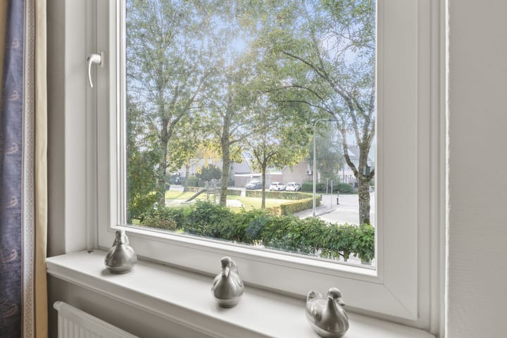 Foto 32 van Valeriaan 14