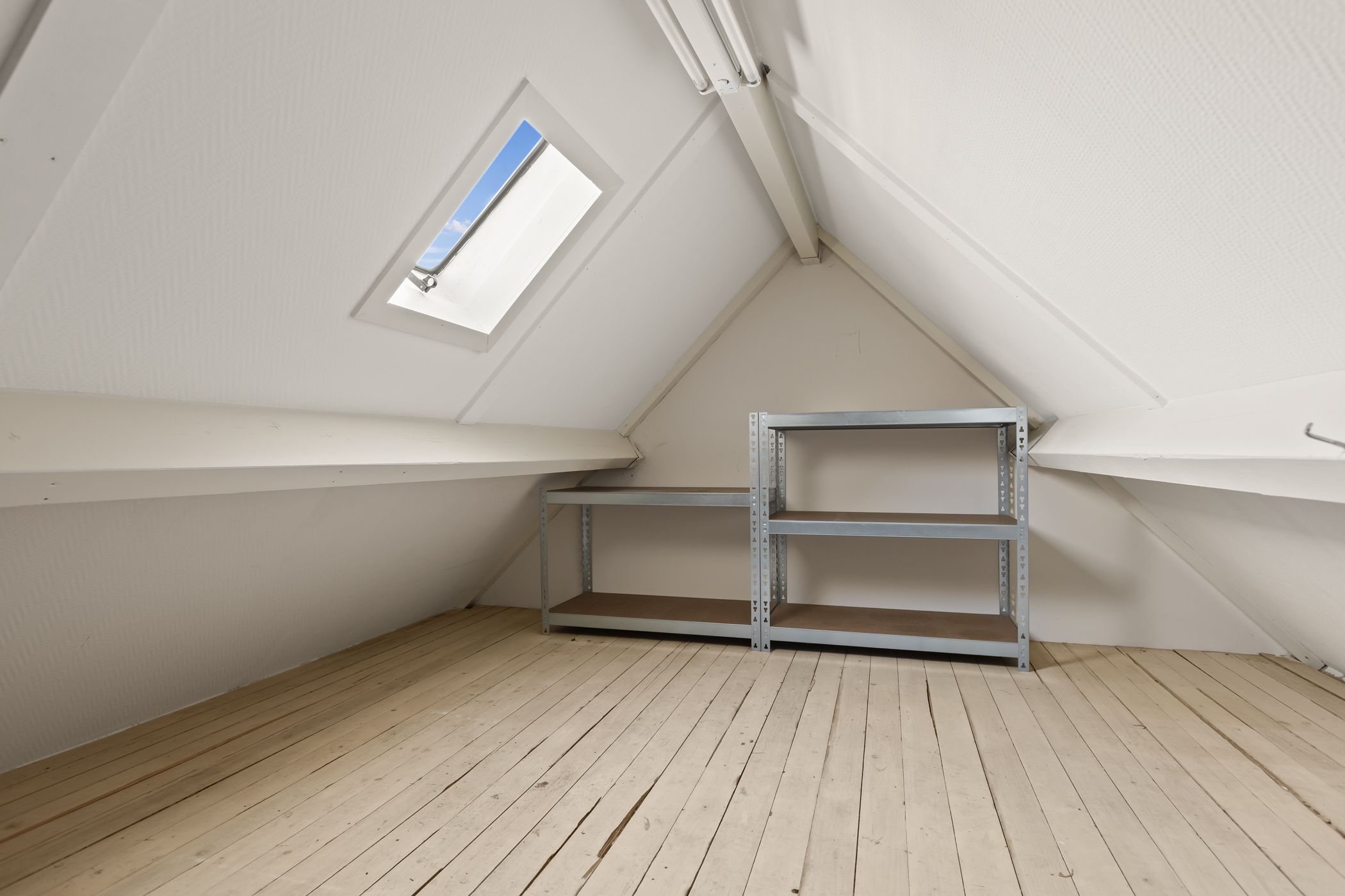 Foto 42 van Valeriaan 14