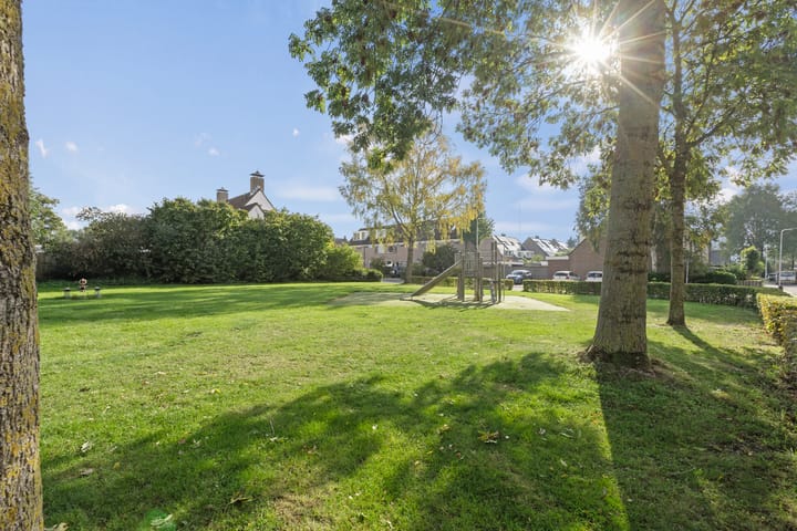 Foto 45 van Valeriaan 14