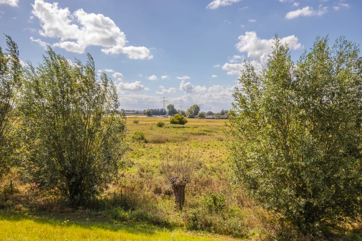 Foto 26 van Binnenwei 29