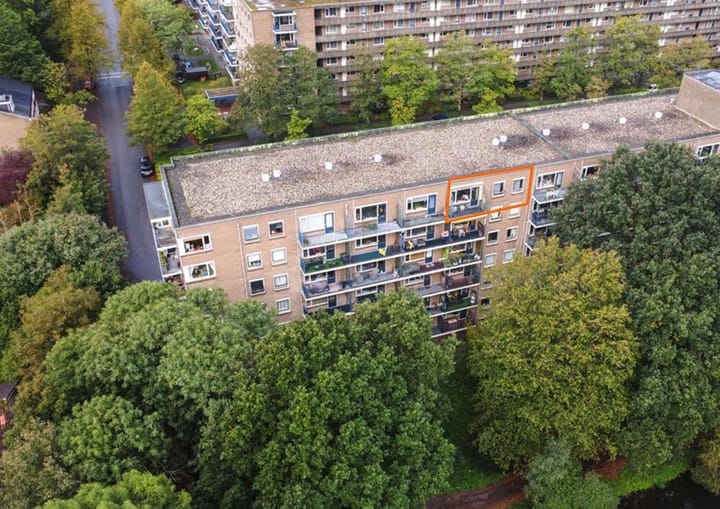 Aert van Neslaan 644 main image