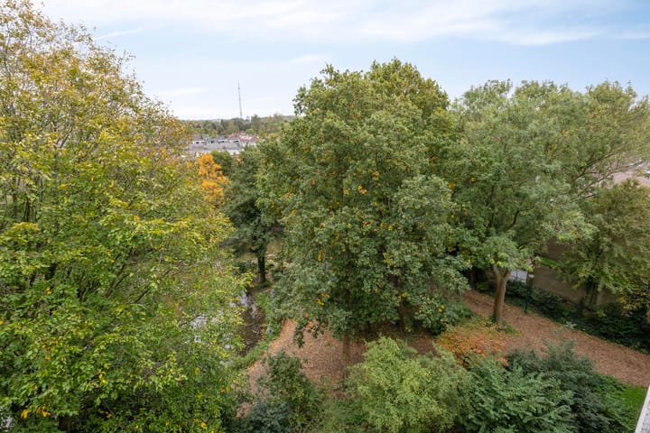 Photo 27 of Aert van Neslaan 644