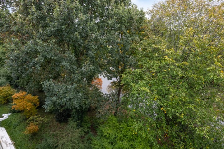 Photo 28 of Aert van Neslaan 644