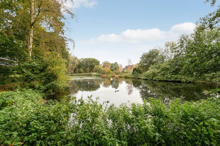 Photo 34 of Aert van Neslaan 644