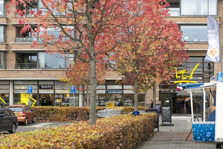 Photo 35 of Aert van Neslaan 644