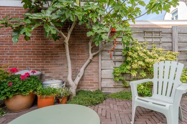 Foto 30 van Reitzstraat 5