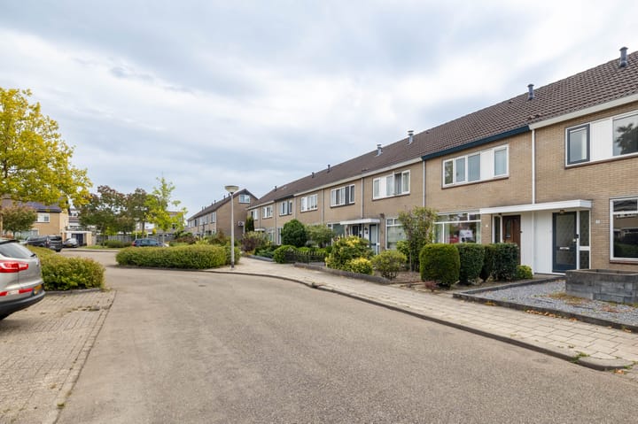 Foto 25 van Hamsterborg 11