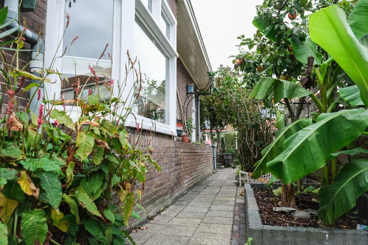 Photo 23 of Sumatrastraat 24