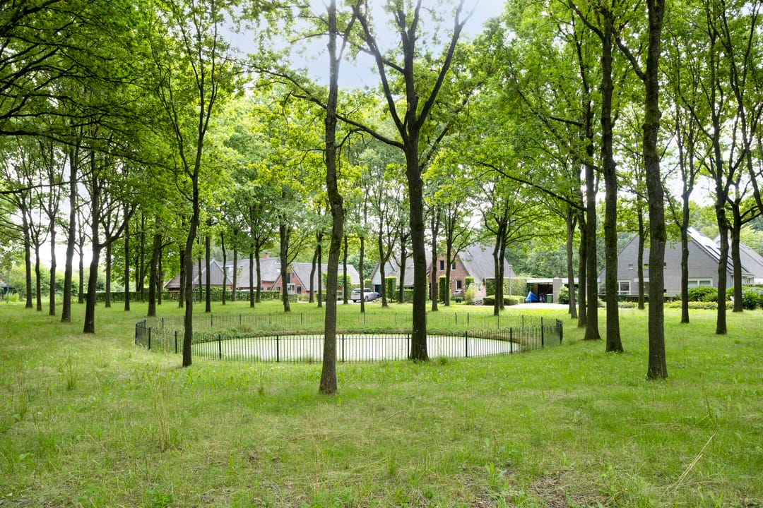 Foto 37 van de Slaiten 4