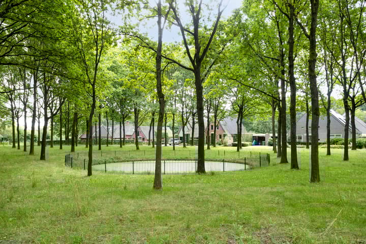 Photo 37 of de Slaiten 4