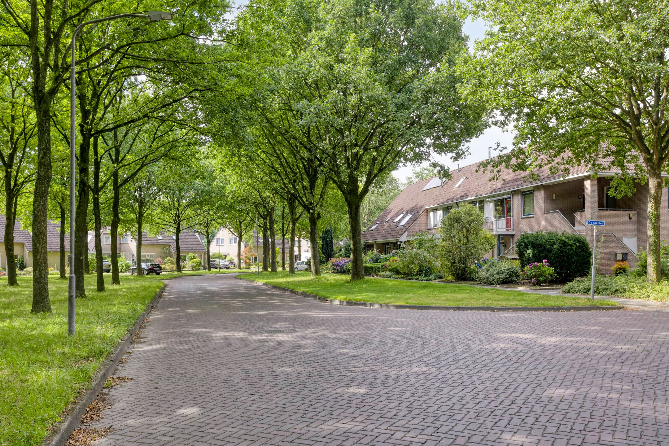 Foto 39 van de Slaiten 4