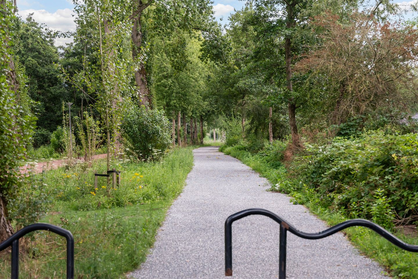 Foto 40 van Slinge 62