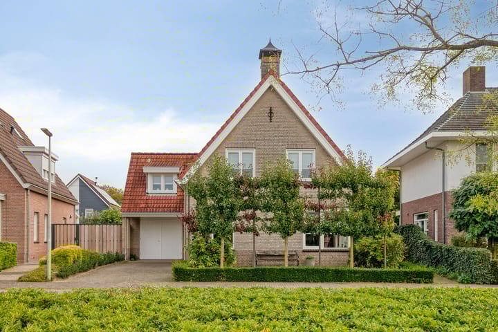 Van Wassenaarstraat 21 main image