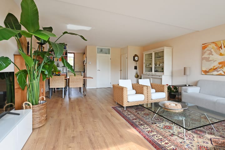 Foto 8 van Ponyweide 88