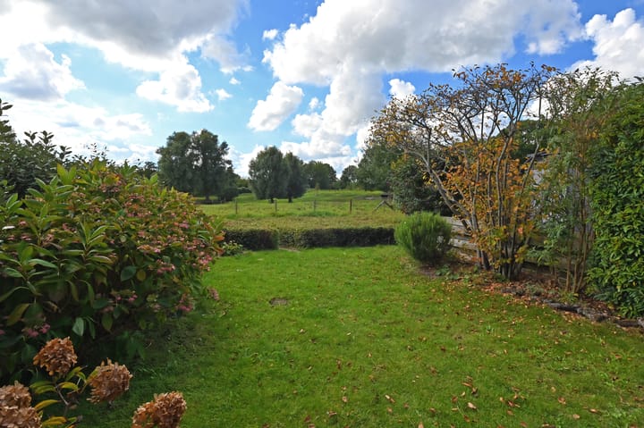 Foto 19 van Ponyweide 88