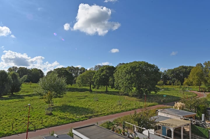 Foto 38 van Ponyweide 88