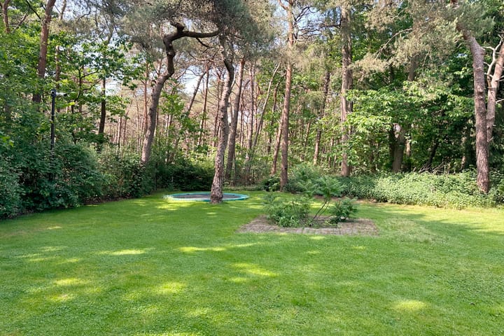 Foto 46 van Biltseweg 31