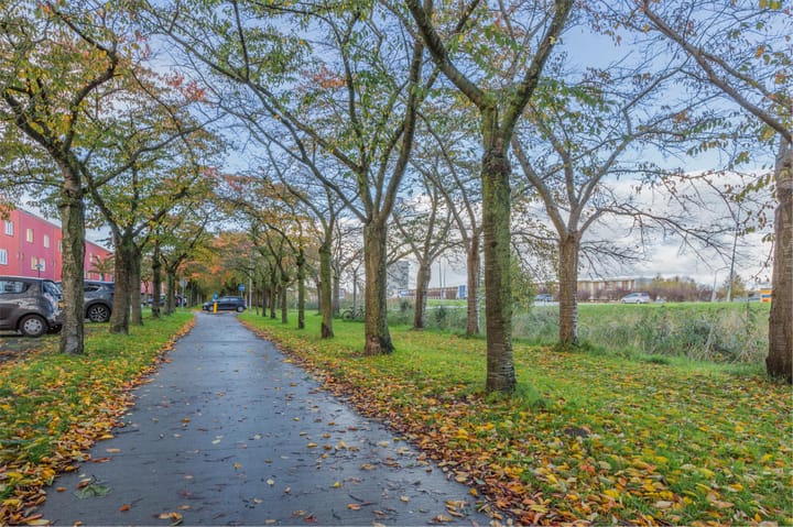 Foto 38 van Terracottastraat 106