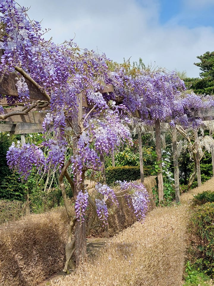 Foto 42 van Hazzelnútstrjitte 15