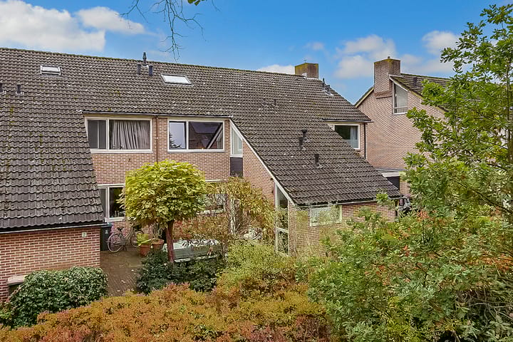 Photo 2 of Weegbree 9