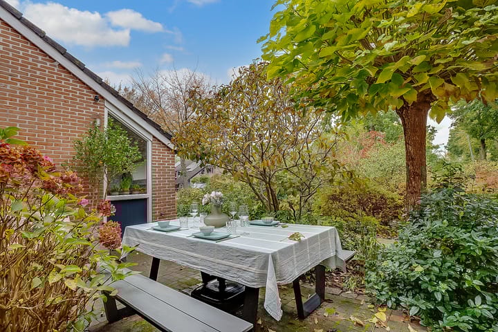 Photo 4 of Weegbree 9