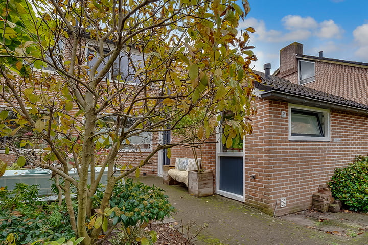 Photo 3 of Weegbree 9