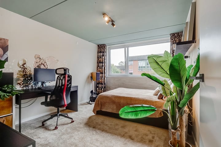 Photo 27 of Weegbree 9