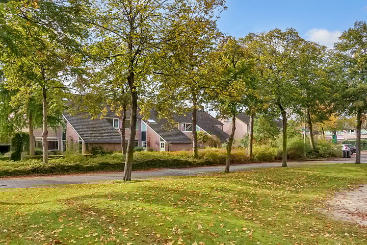 Photo 36 of Weegbree 9