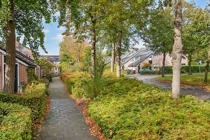 Photo 37 of Weegbree 9