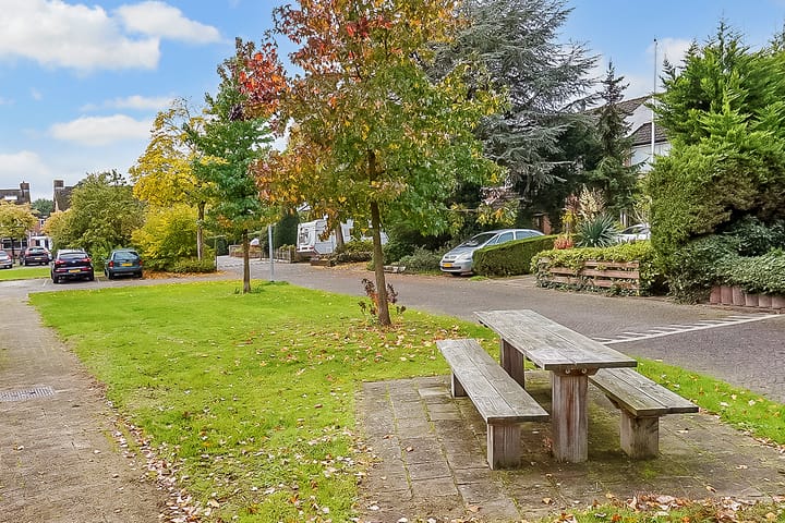 Photo 38 of Weegbree 9