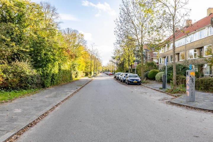 Foto 52 van Haydnlaan 3-B