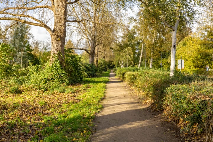 Foto 53 van Haydnlaan 3-B