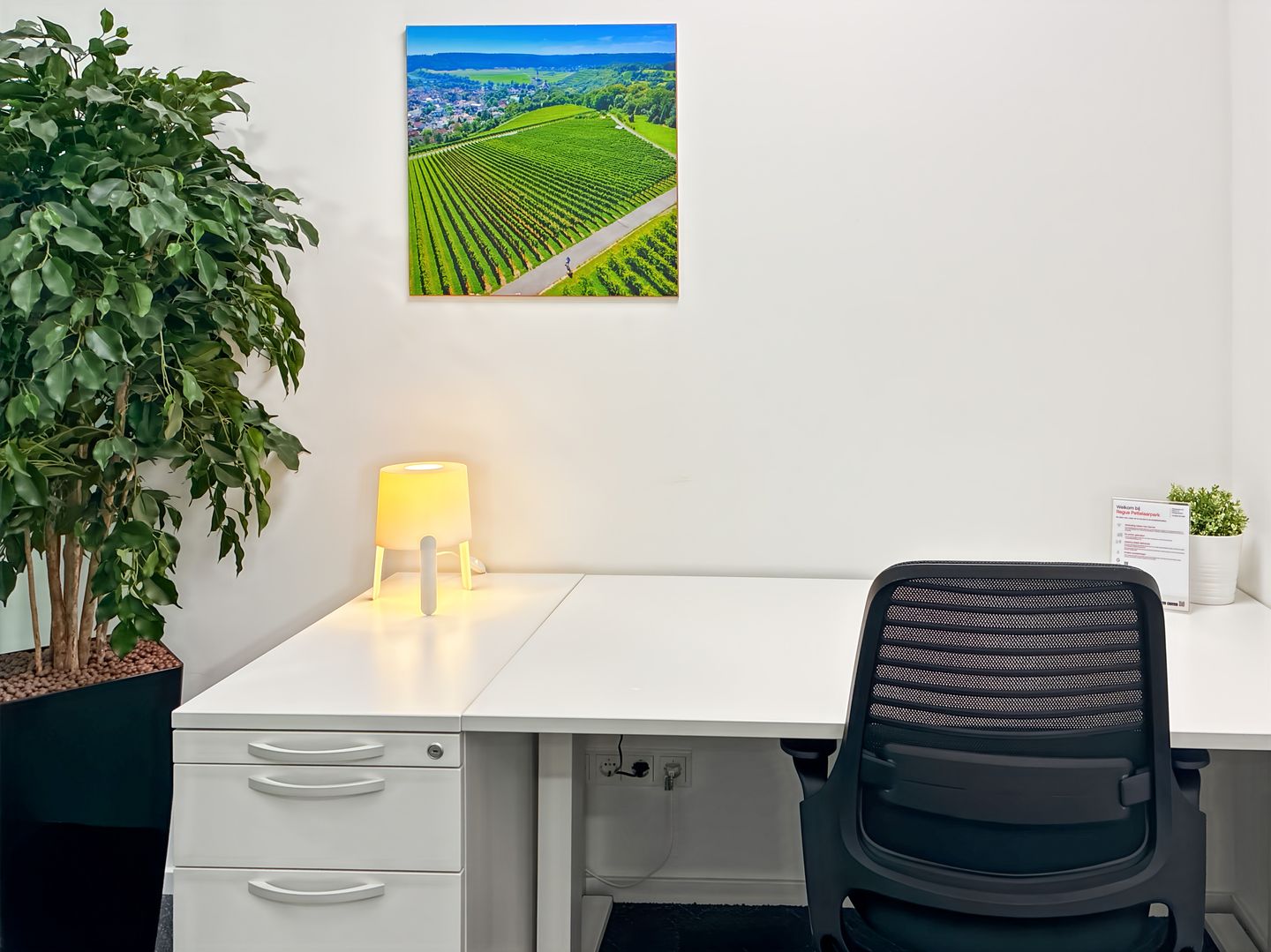 Bekijk foto 1 van Pettelaarpark 84