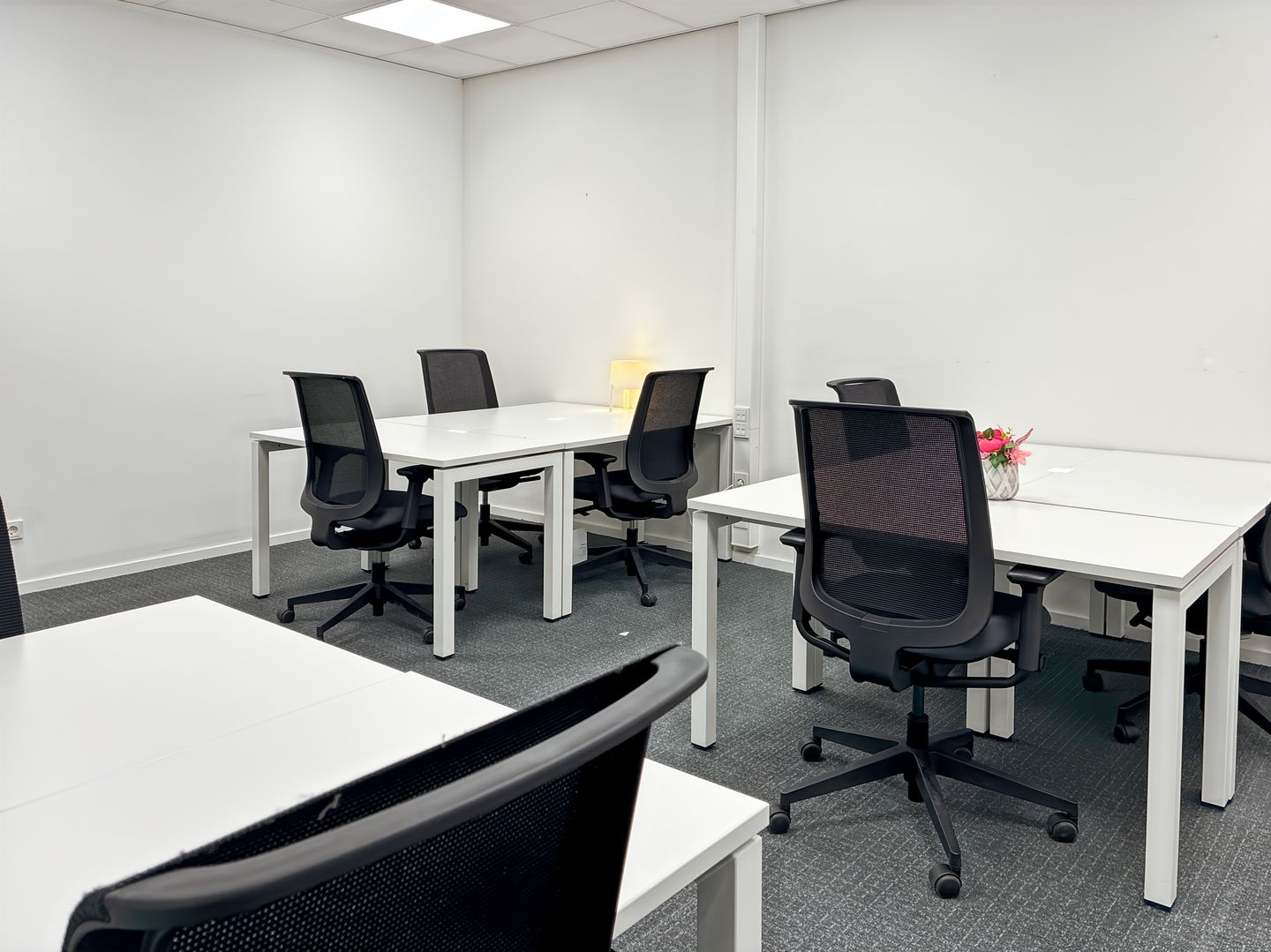 Bekijk foto 2 van Pettelaarpark 84